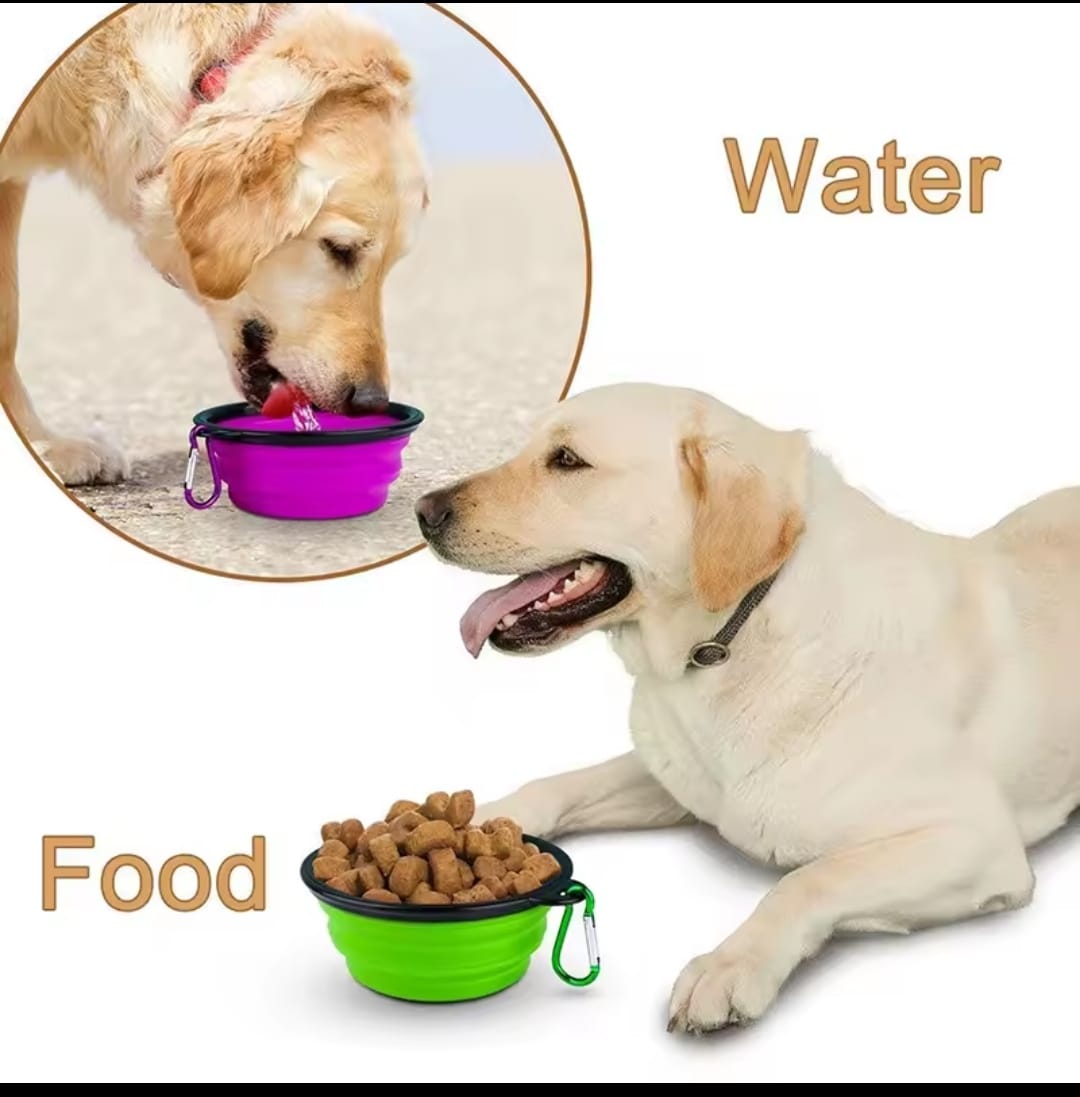 TAZON PLEGABLE Y PRACTICO PARA PERROS - IDEAL PARA VIAJES Y PASEOS